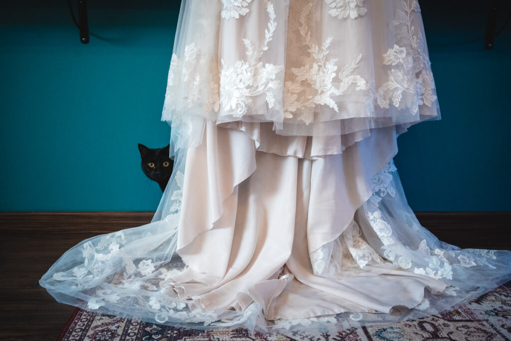 robe de mariage et chat